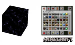 Figure 2: Obsidian in Minecraft