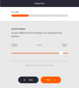 Figure 1: Example of online survey.