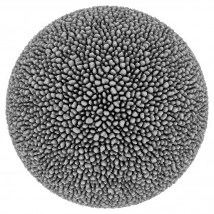 Andy Lomas, Cellular Form 18