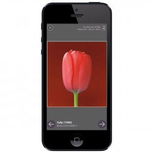 4_getty_mapplethorpe_LA_slideshow_mobile