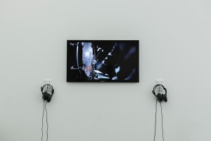 8-EighthBlackbird_05