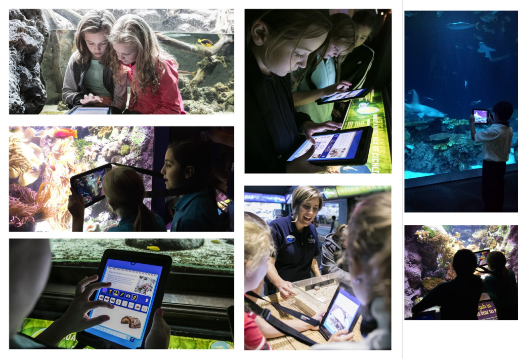 Multiple pictures of students holding iPads, taking pictures of animals and exhibits, and working within the app.