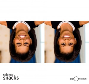 Michele Obama science activity