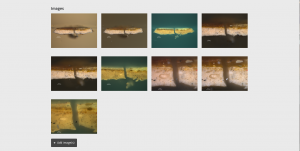 Other microscopic images are added to the database. These are dark field images and zoomed in images.