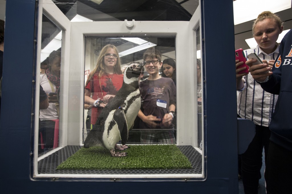 Teens view a penguin and share on social media